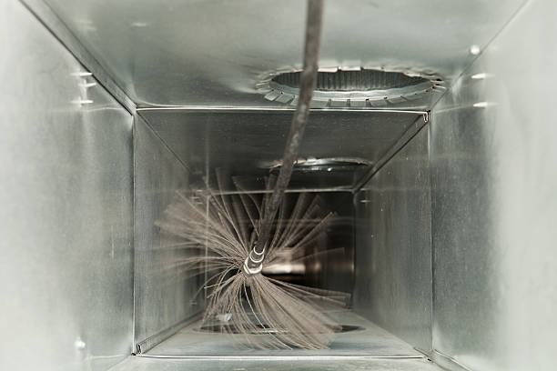 Best Professional Duct Cleaning Services  in Malden, MO